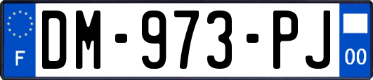 DM-973-PJ