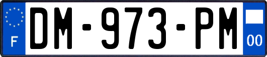 DM-973-PM