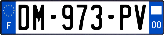 DM-973-PV