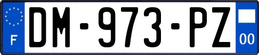 DM-973-PZ