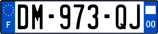 DM-973-QJ