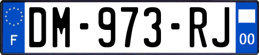 DM-973-RJ