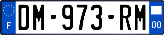 DM-973-RM