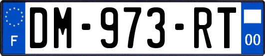 DM-973-RT