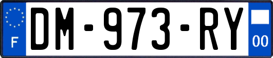 DM-973-RY