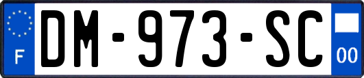 DM-973-SC