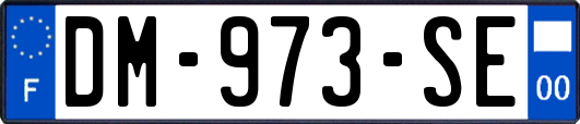 DM-973-SE