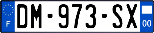 DM-973-SX