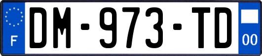 DM-973-TD