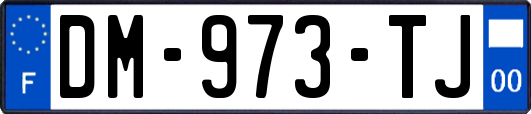DM-973-TJ