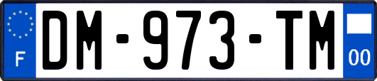 DM-973-TM