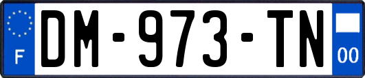 DM-973-TN