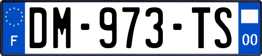 DM-973-TS