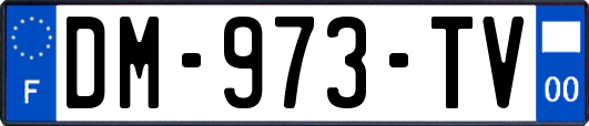 DM-973-TV