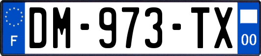 DM-973-TX