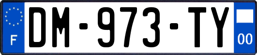 DM-973-TY