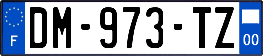 DM-973-TZ