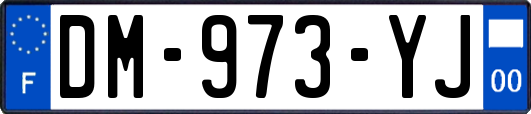 DM-973-YJ