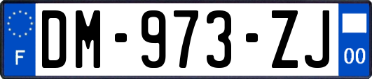 DM-973-ZJ