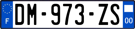 DM-973-ZS