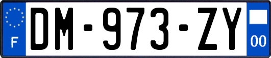 DM-973-ZY