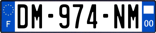 DM-974-NM