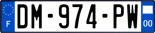 DM-974-PW