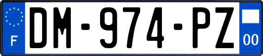 DM-974-PZ