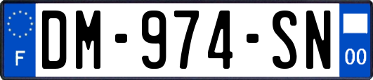 DM-974-SN