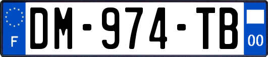 DM-974-TB