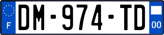 DM-974-TD