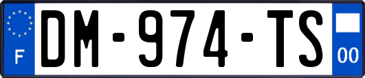 DM-974-TS