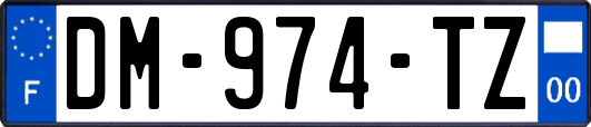 DM-974-TZ