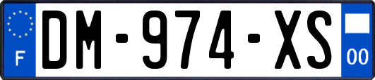 DM-974-XS