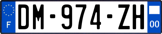 DM-974-ZH