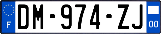 DM-974-ZJ