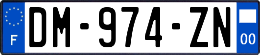 DM-974-ZN