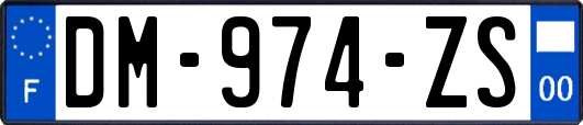 DM-974-ZS