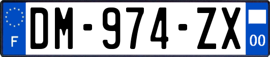 DM-974-ZX