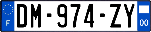 DM-974-ZY