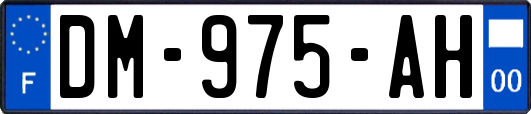 DM-975-AH