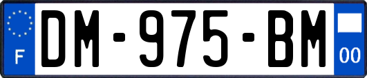 DM-975-BM