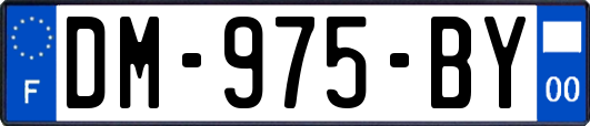 DM-975-BY