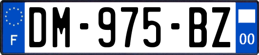 DM-975-BZ