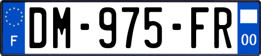 DM-975-FR