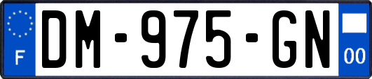 DM-975-GN