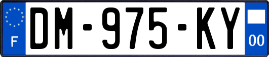 DM-975-KY