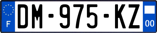 DM-975-KZ