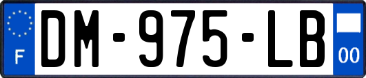 DM-975-LB