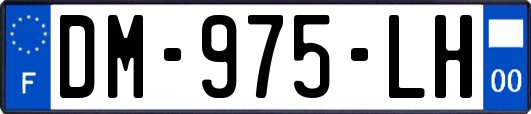 DM-975-LH